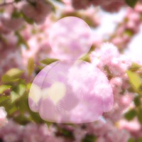 Vsak Dan - Single - Nomark