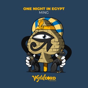 One Night in Egypt - Single
