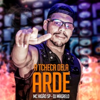 A Tcheca Dela Arde - Single - Mc Higão SP & Dj Magrelo