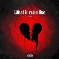 What It Feels Like - Single - Dibbs