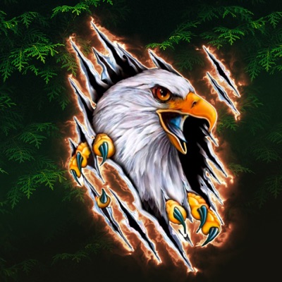 Hawk - Single