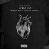 AWAARA (feat. Fardeen Qureshi & TAIMOUR BAIG) - Single