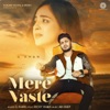 Mere Vaste - Single