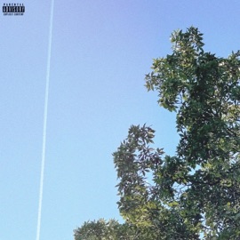 waste (feat. BASHI) riley
