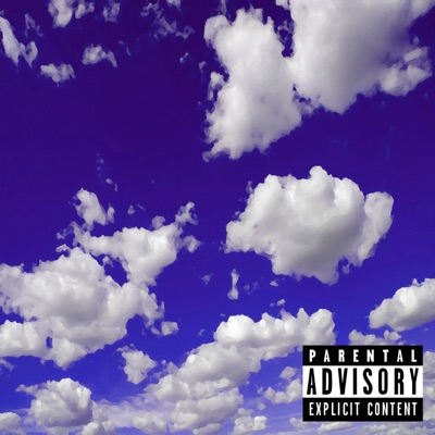 Safezone - Single
