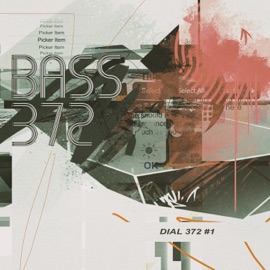 OddBells (mflef. Flip) Q100 & DMG