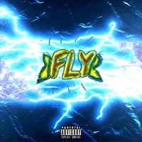 FLY (feat. Roxch) - Single - Wallo2k