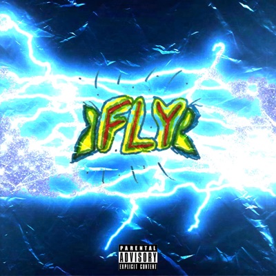 FLY (feat. Roxch) - Single