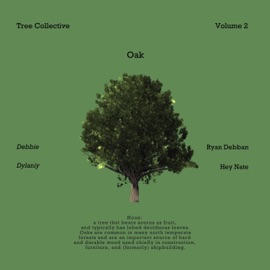 Slow Growth Patterns Tree Collective & Ryan Debban