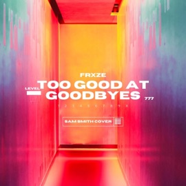 Too Good At Goodbyes (Cover) Frxze
