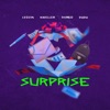 Surprise (feat. Dudu, Thiago Kelbert & Kweller) - Single