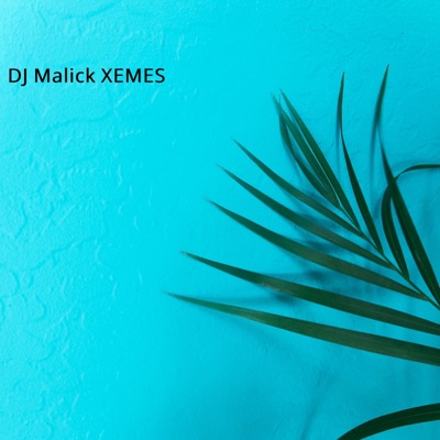 Xemes - Single