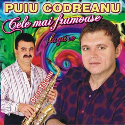Song - Te Iubesc, Te Ador - Puiu Codreanu