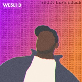 Switch Up the Mood WesLi D