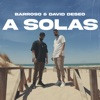Barroso - A Solas