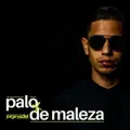 Palo De Maleza