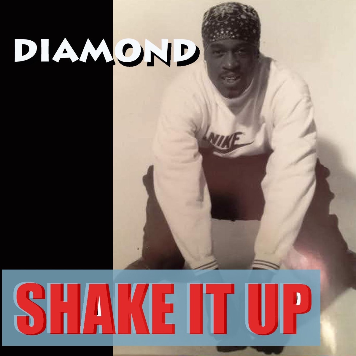 shake it up album