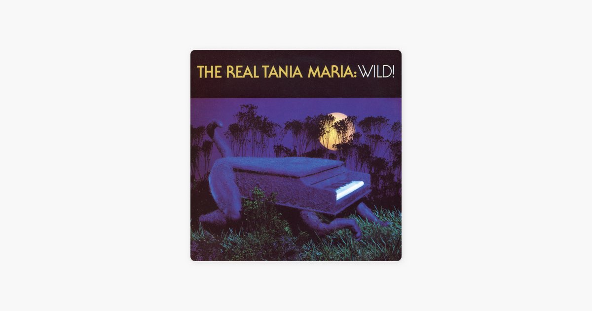 Tania maria 66年 オリジナル美盤とブラジルレコード3枚セット □ MADE IN NEW YORK ／ TANIA MARIA : Light Mellow on the web