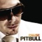 Pause - Pitbull lyrics