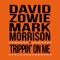 Trippin' On Me - David Zowie & Mark Morrison lyrics