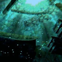 did I Do It Right? - Single - Revin