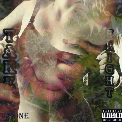 Take Flight - Single