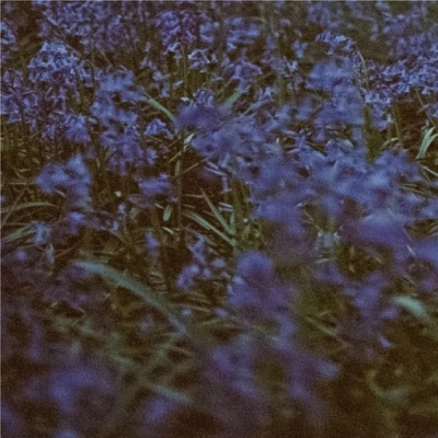 Lofi Tune (feat. Aniroudh Sharma) [Lofi Version] [Lofi Version] - Single