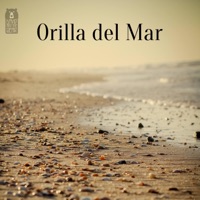 Orilla del Mar - Single - David and the Bear