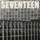 Seventeen Going Under