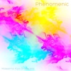 Phenomenic - Single