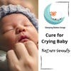 Cure for Crying Baby - Nature Sounds