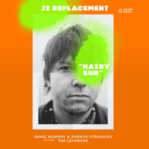 Hairy Sun (feat. Tim Lefebvre) - Single