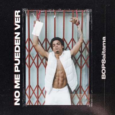 No me pueden ver - Single