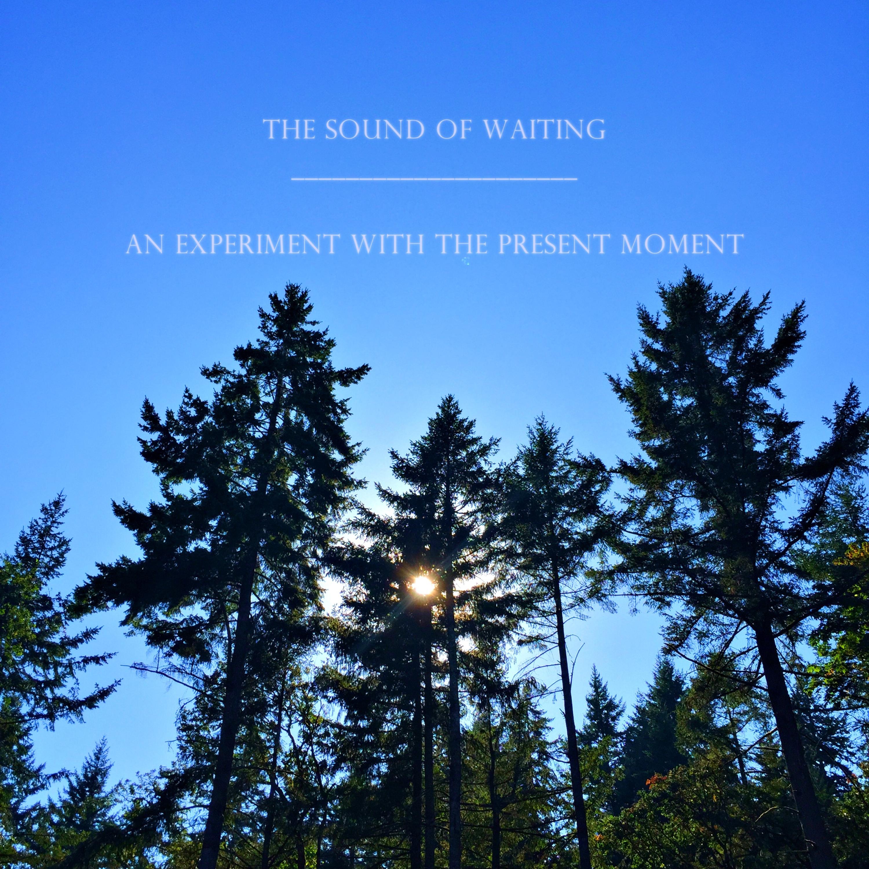 An Experiment With the Present Moment