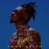 Do I Ever (feat. Chris Brown) cover art