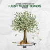 I Just Want Bands (feat. TooSix) - Single