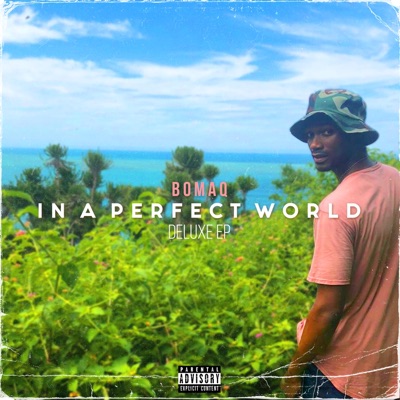 In a Perfect World (Delux EP)