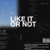 Like It Or Not (feat. M.O.T.B.) - Single