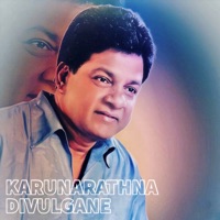 Weherak Wage - Single - Karunarathna Divulgane