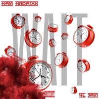 Wait (feat. 4l Javi) - Single - Kam Hndrixx