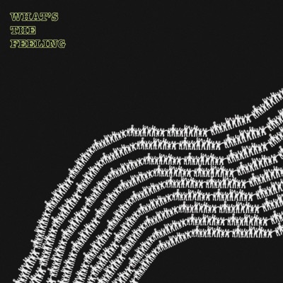 What's the Feeling - Single