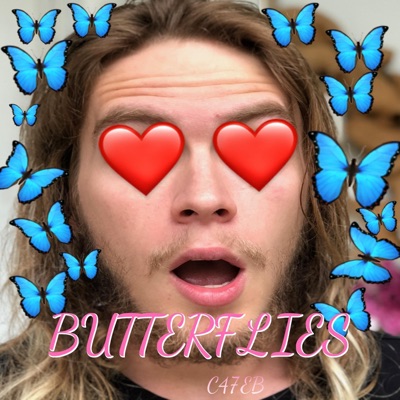 Butterflies - Single