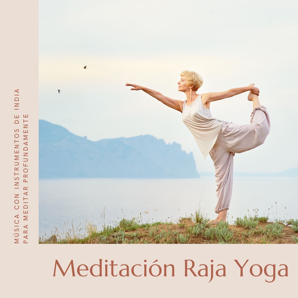 Meditación Raja Yoga - Música con Instrumentos de India para Meditar  Profundamente - Album by El Mundo Yoga - Apple Music