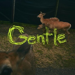 Gentle (draag me Remix) - Single