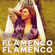 Flamenco Flamenco - Roy Donders