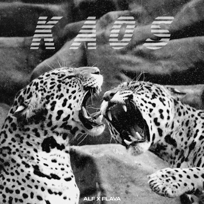 Kaos - Single