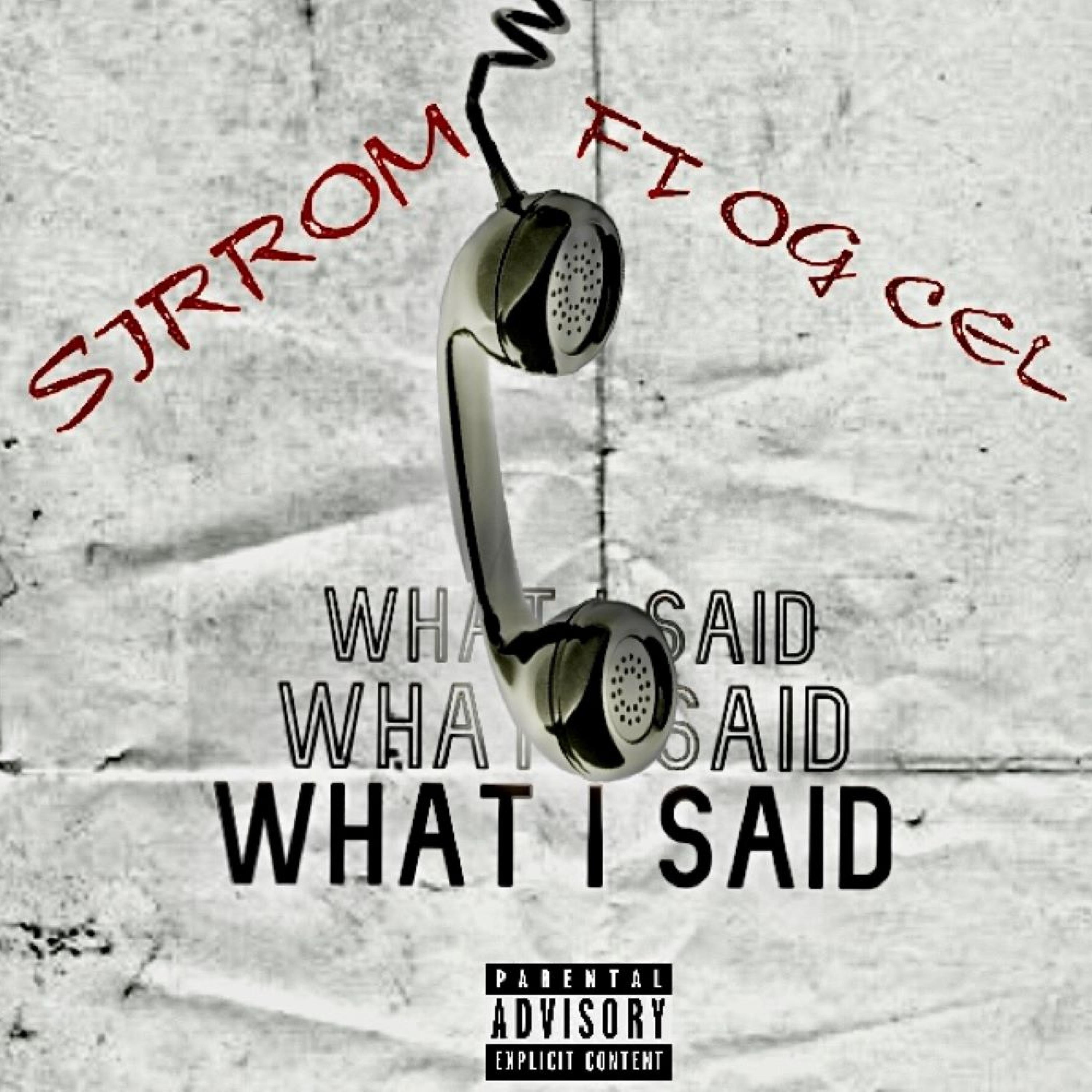 What I Said (feat. OG Cel) - Single