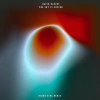 The Sky Is Crying (Diode Eins Remix) [Diode Eins Remix] - Single - Diode Eins & David Hasert
