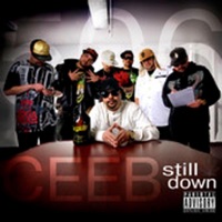 Still Down - Ceeb Dread