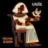 Feeling Good - From "Liberated / Music For the Movement Vol. 3" by Chlöe iTunes Track 1